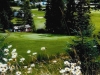 club-shuswap-14th-with-bridge
